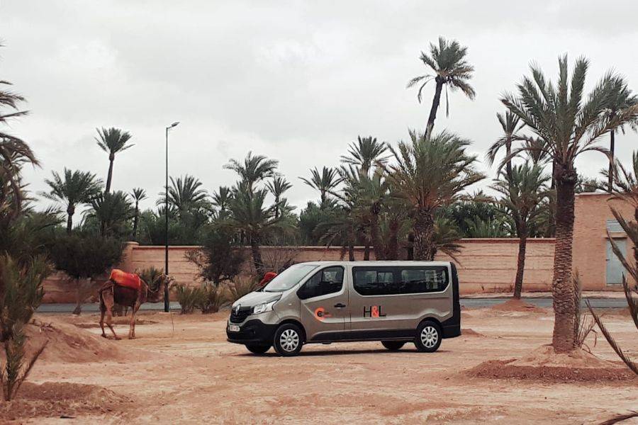 Passeio de quadriciclo no Palmeraie de Marrakech