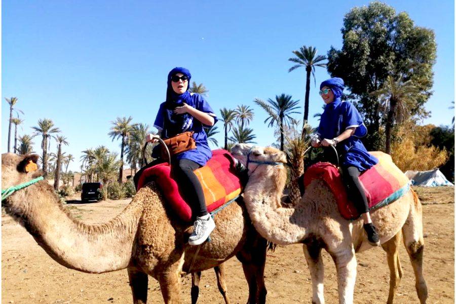 Experiência de buggy, camelo e spa em Marrakech