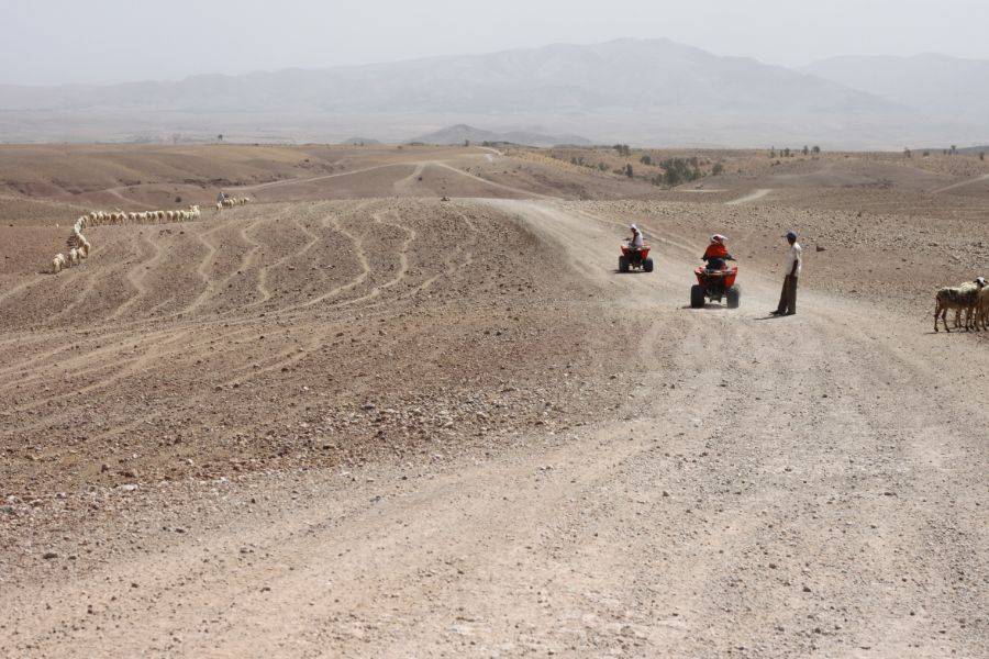 Quadriciclo no deserto rochoso de Agafay de Marrakech