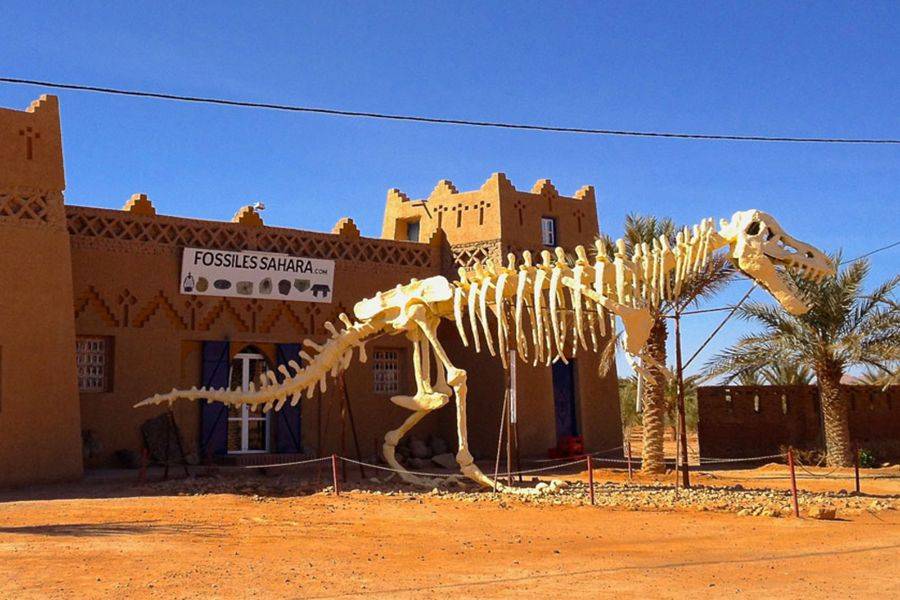 Merzouga 3 dias Viagem ao deserto de Marrakech para fez