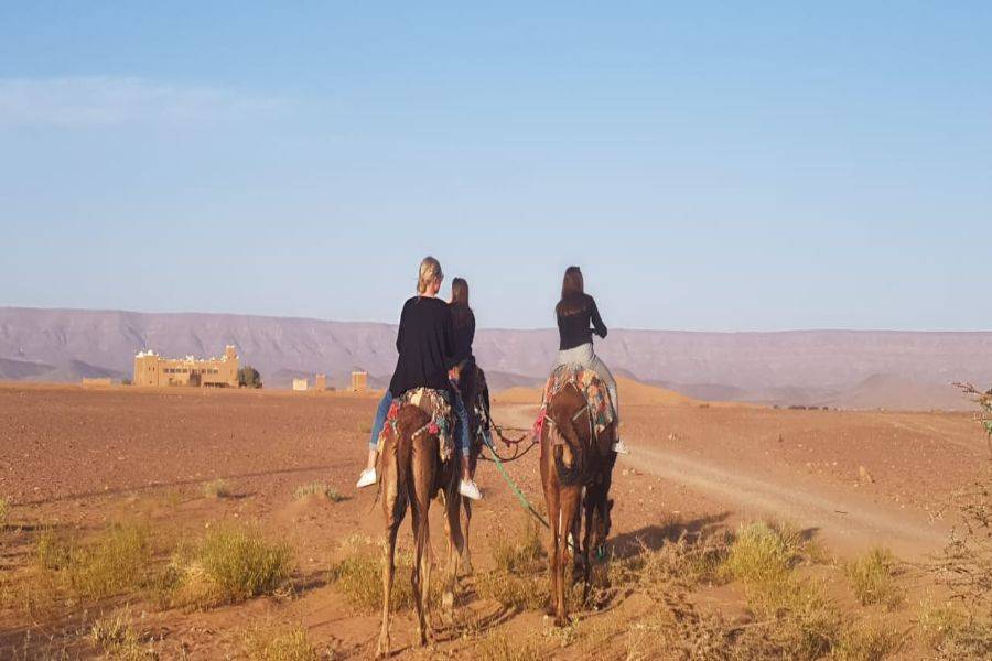 Experiência de passeio de camelo e moto-quatro no deserto rochoso de Agafay