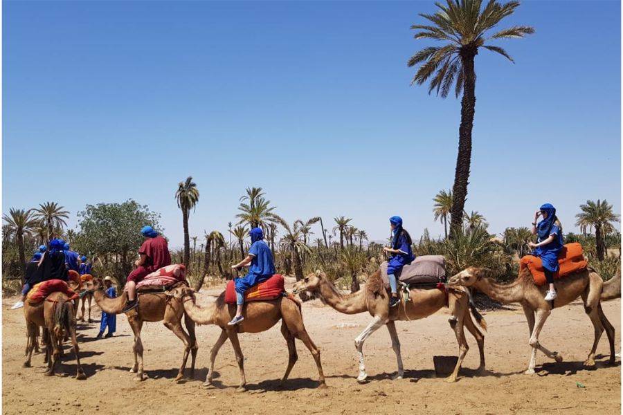 Passeio de buggy por adrenalina e passeio de camelo no Palmeraie Marrakech