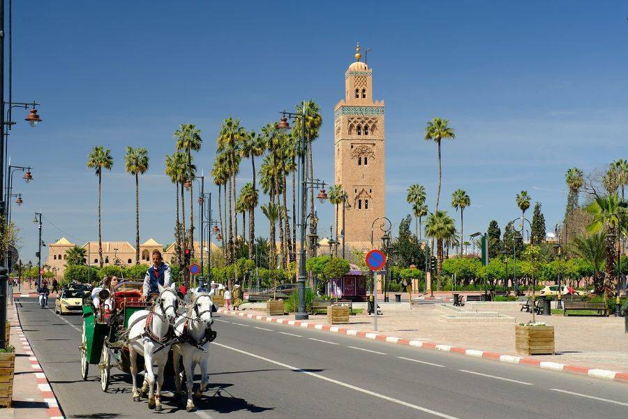 Visita histórica dos monumentos em Marrakech