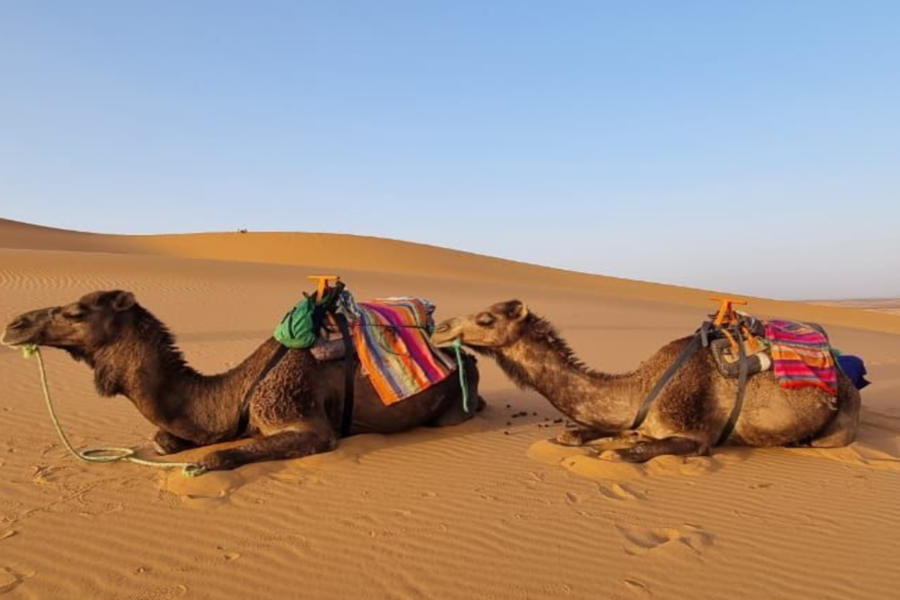 Merzouga 3 dias Viagem ao deserto de Marrakech para fez