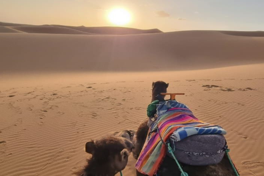 Merzouga 3 dias Viagem ao deserto de Marrakech para fez