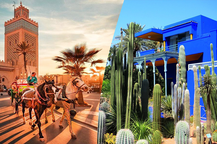 Um belo passeio com carruagem e visite o Jardim Majorelle