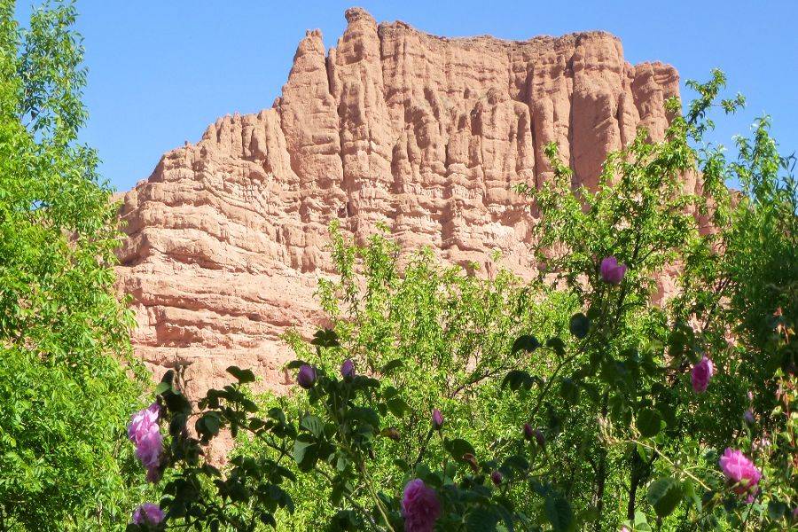 Excursão de 4 dias no deserto de Fez a Marrakech