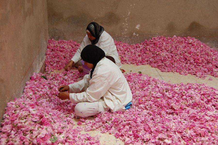 Excursão ao deserto de Fez 5 dias para Marrakech