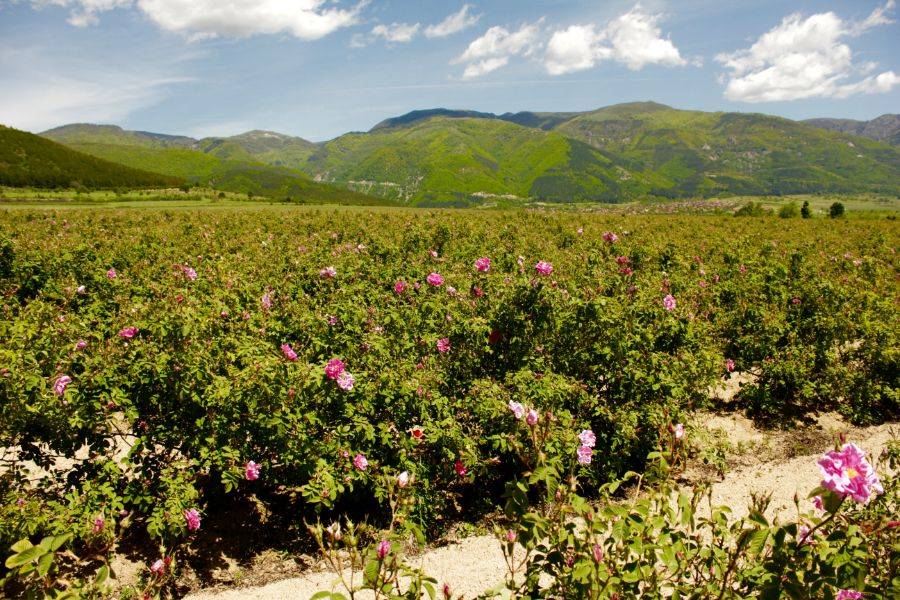 Excursão de 4 dias no deserto de Fez a Marrakech