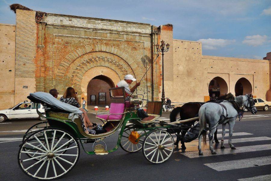 Carruagem de cavalo bonito em Marrakech