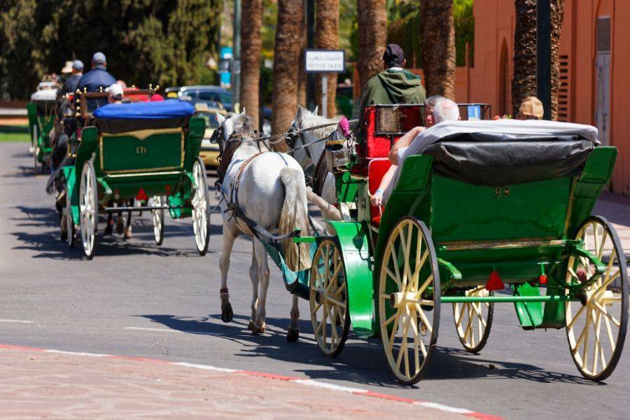 Carruagem de cavalo bonito em Marrakech