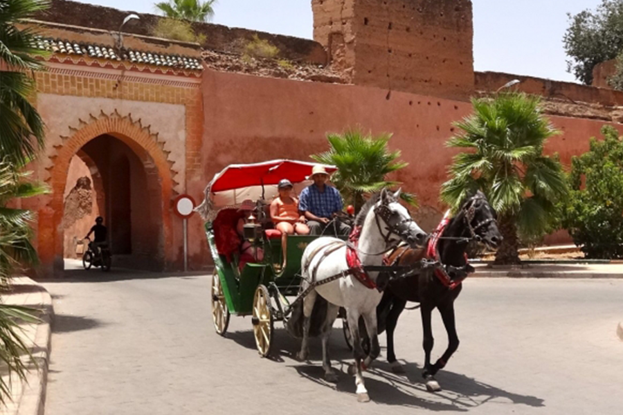 Carruagem de cavalo bonito em Marrakech