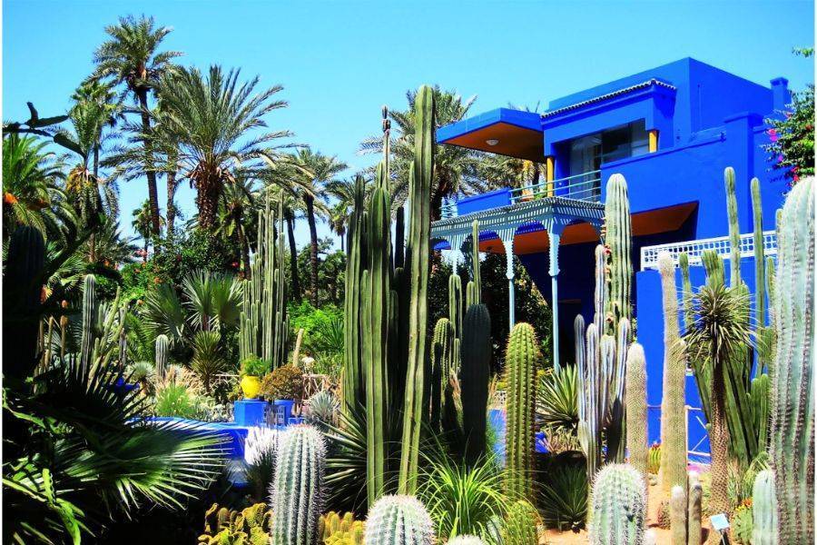 Viagem particular de um dia a Marrakech saindo de Casablanca com almoço