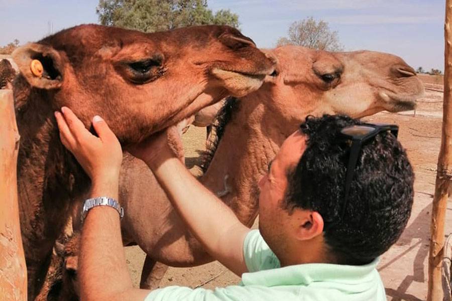 Viagem ao deserto em Marrocos (4 dias)