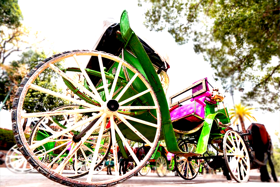 Carruagem de cavalo bonito em Marrakech