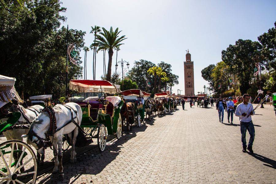 Carruagem de cavalo bonito em Marrakech