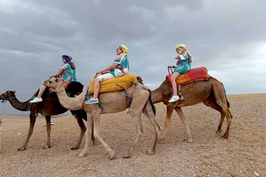 Passeio de Camelo ao Pôr-do-Sol no Deserto de Agafay e Jantar em Chouf L'Or em Marraquexe