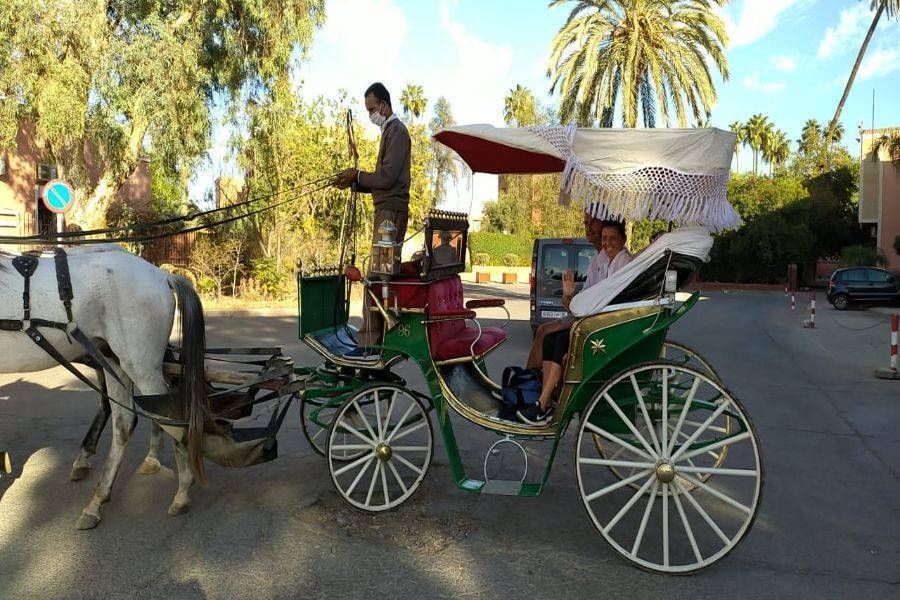 Carruagem de cavalo bonito em Marrakech