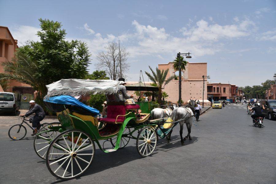 Carruagem de cavalo bonito em Marrakech