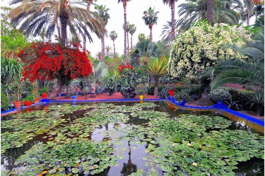 Um belo passeio com carruagem e visite o Jardim Majorelle
