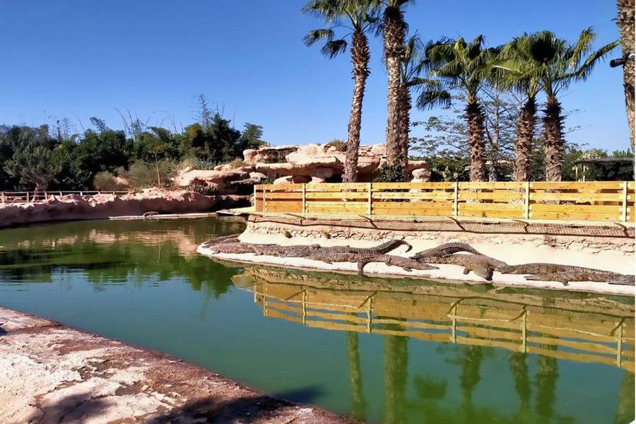 Viagem de um dia para Agadir saindo de Marrakech