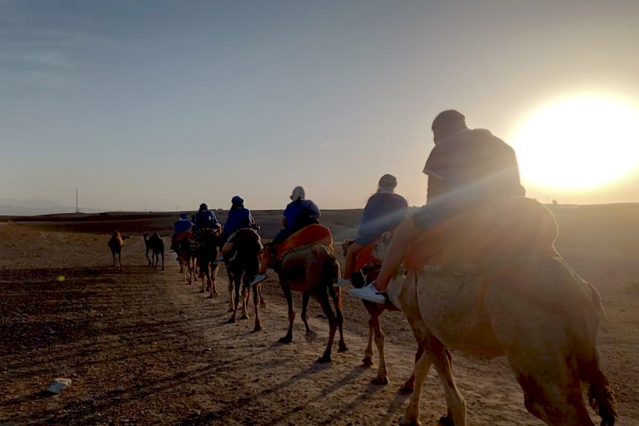 Passeio de Camelo ao Pôr-do-Sol no Deserto de Agafay e Jantar em Chouf L'Or em Marraquexe
