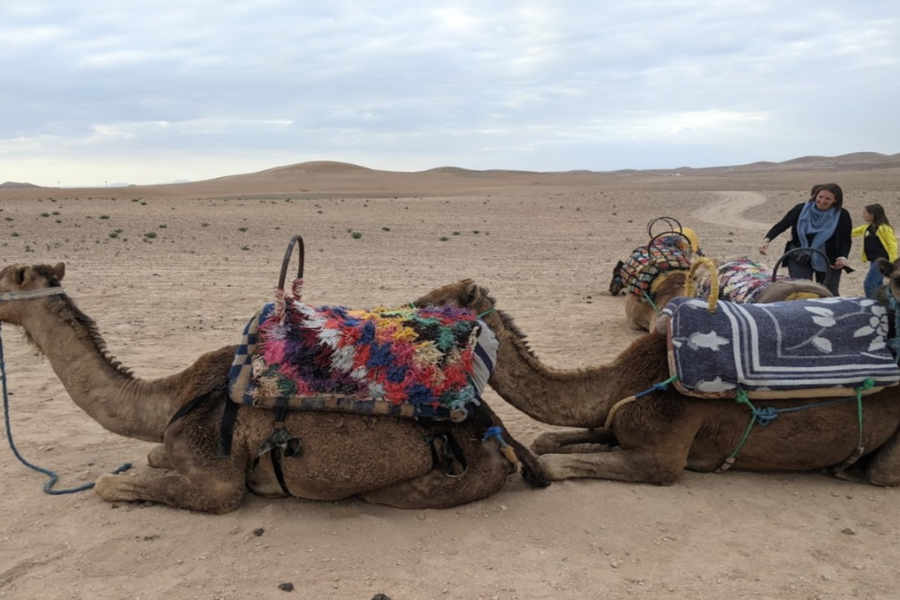 Excursão noturna no deserto de Agafay por 2 dias