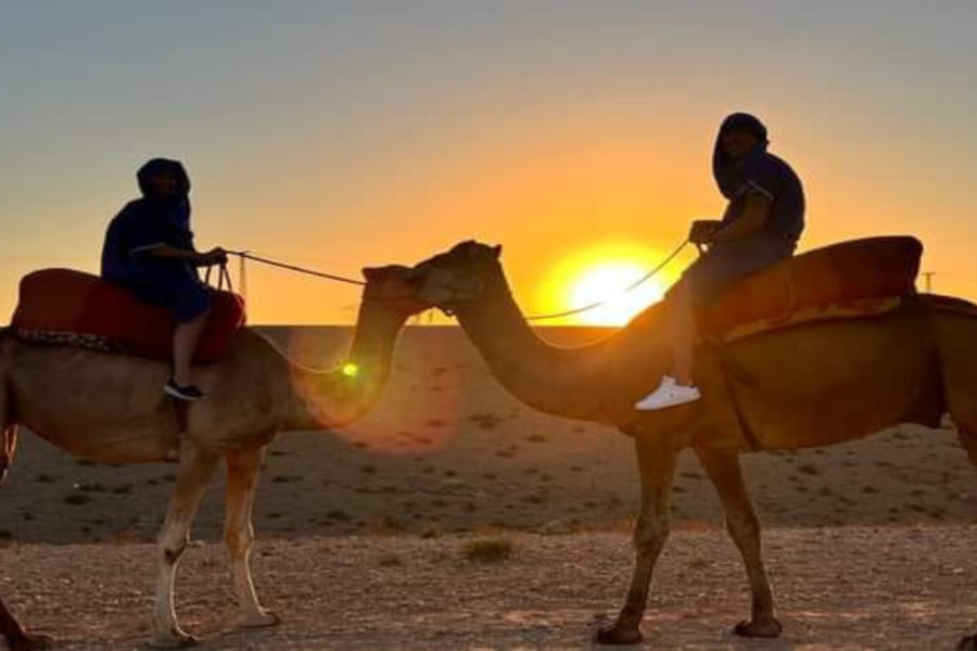 Viagem de um dia à Montanha Atlas com Sunset Camel Trekking em Agafay Sahara
