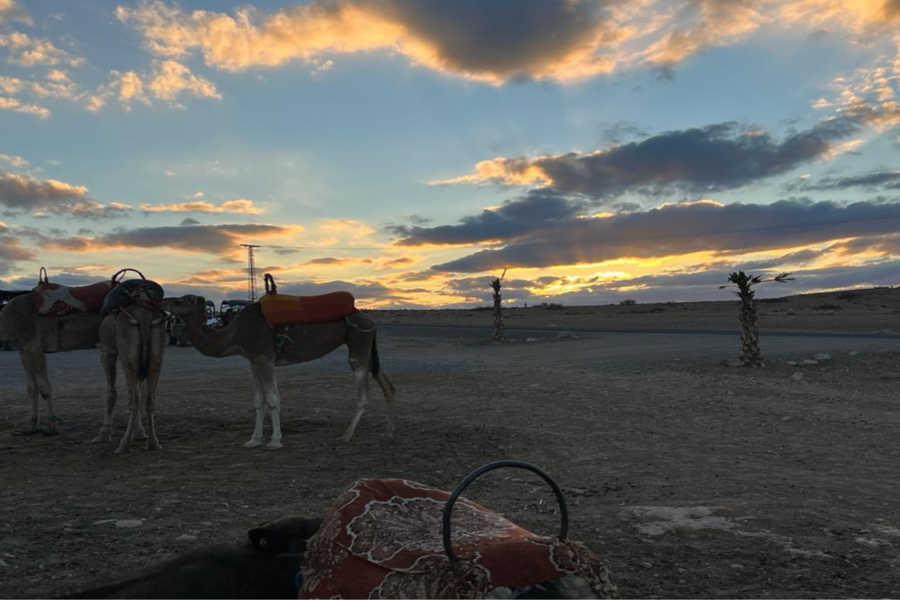 Viagem de um dia à Montanha Atlas com Sunset Camel Trekking em Agafay Sahara