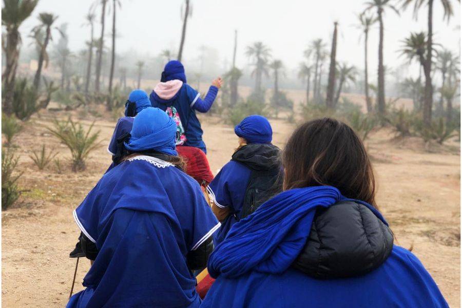Passeio de camelo no Palmeraie de Marrakech