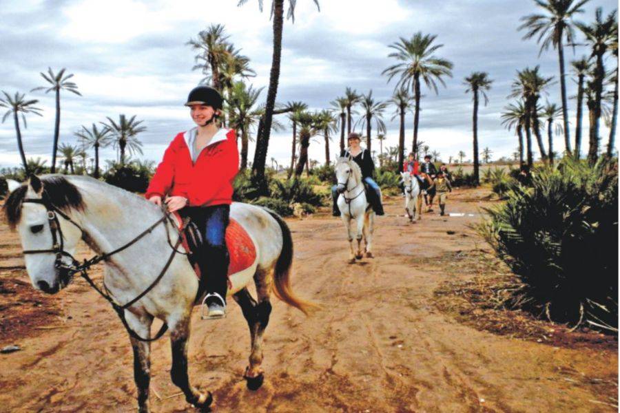 Passeio a cavalo em Marrakech Palmeraie