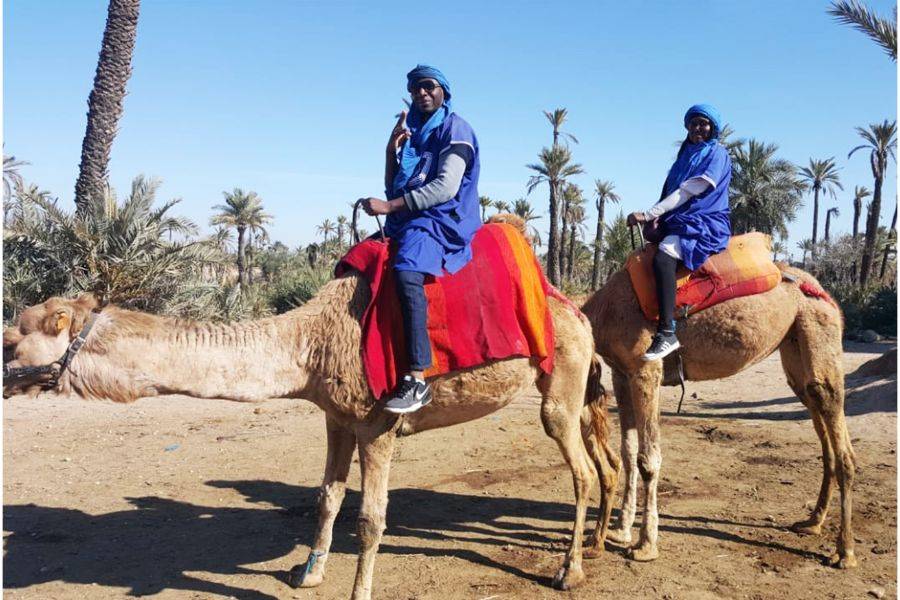 Passeio de camelo e moto-quatro em Marrakech Palmeraie