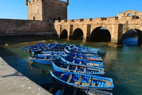 Excursão de um dia a Essaouira 