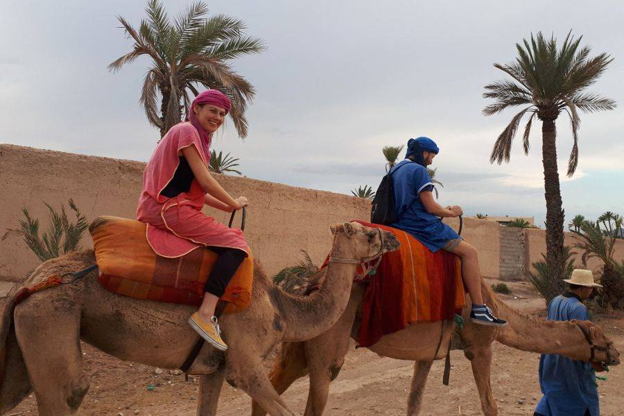 Passeio de camelo no Palmeraie de Marrakech