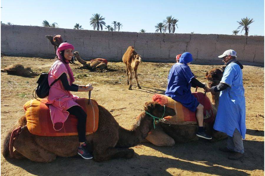 Passeio de camelo e moto-quatro em Marrakech Palmeraie