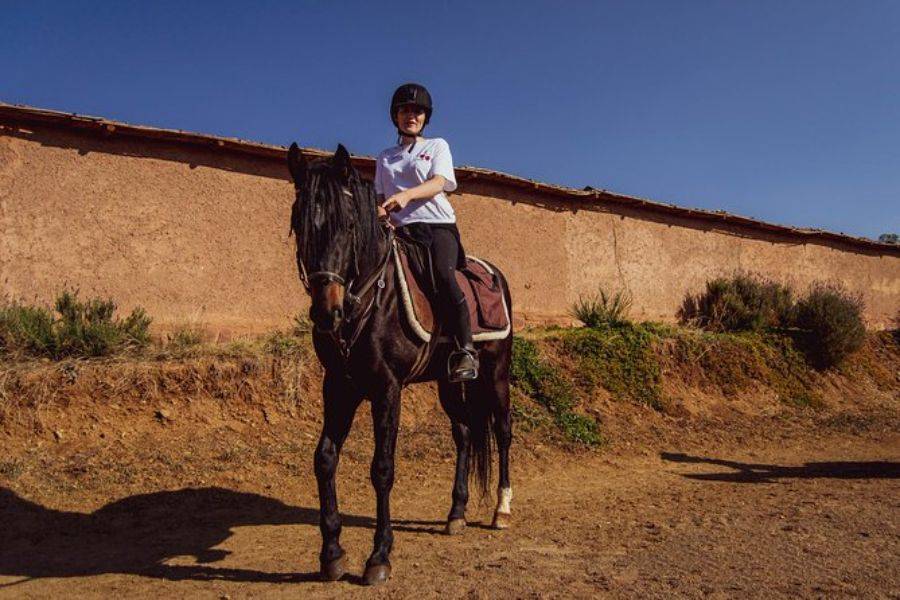 Passeio a cavalo em Marrakech Palmeraie
