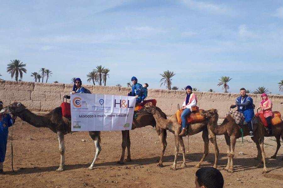 Passeio de camelo no Palmeraie de Marrakech