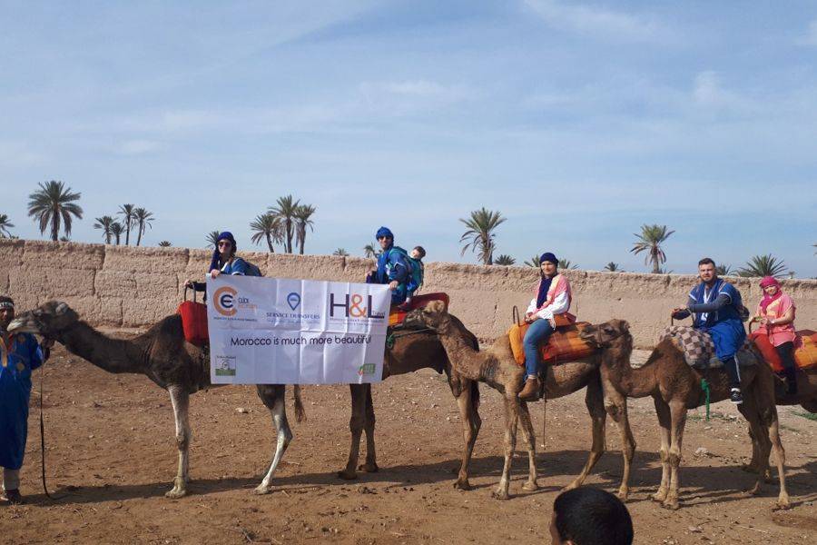 Passeio de camelo no Palmeraie de Marrakech