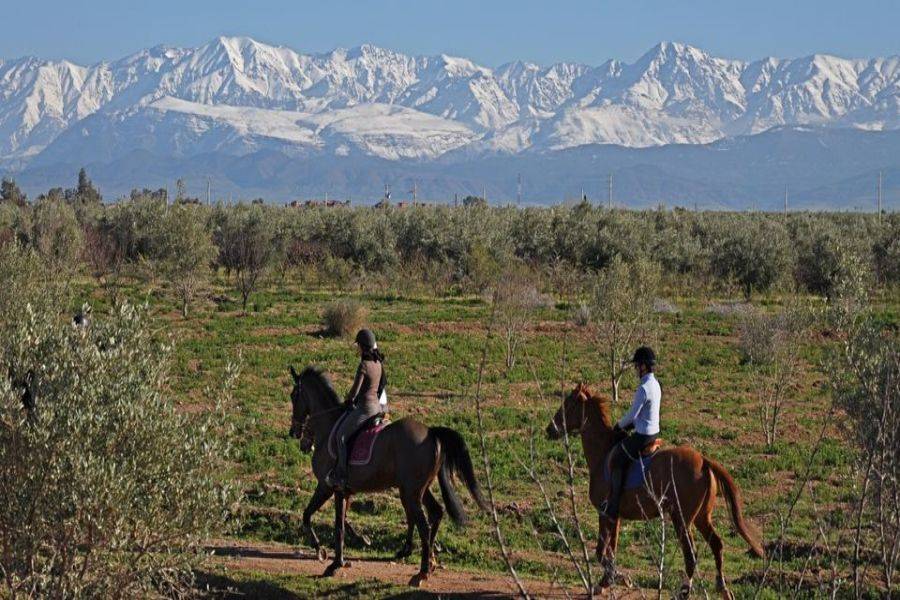 Passeio a cavalo em Marrakech Palmeraie