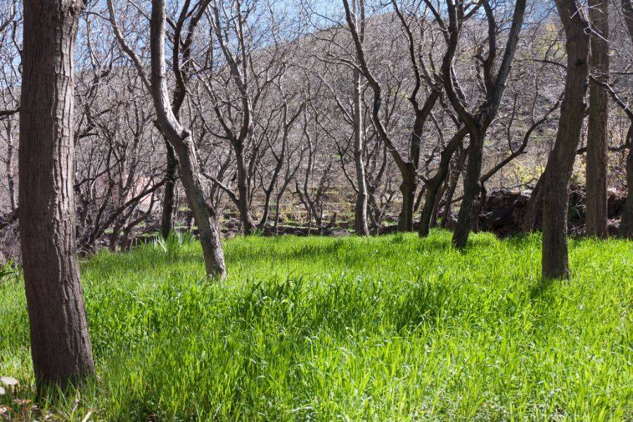 Excursão a Asni e Imlil com um delicioso almoço no Kasbah Toubkal