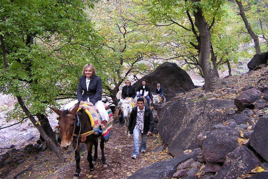 High Atlas Mountain Imlil com passeio de camelo e jantar no deserto de Agafay