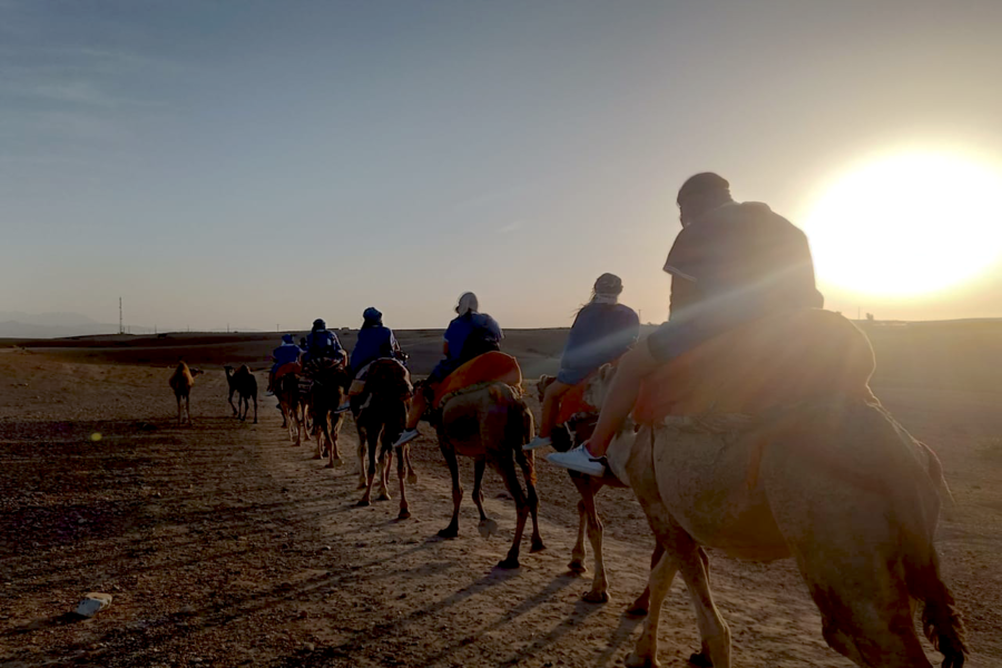 High Atlas Mountain Imlil com passeio de camelo e jantar no deserto de Agafay