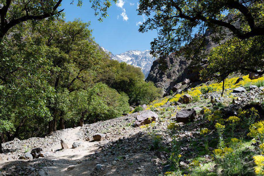 High Atlas Mountain Imlil com passeio de camelo e jantar no deserto de Agafay