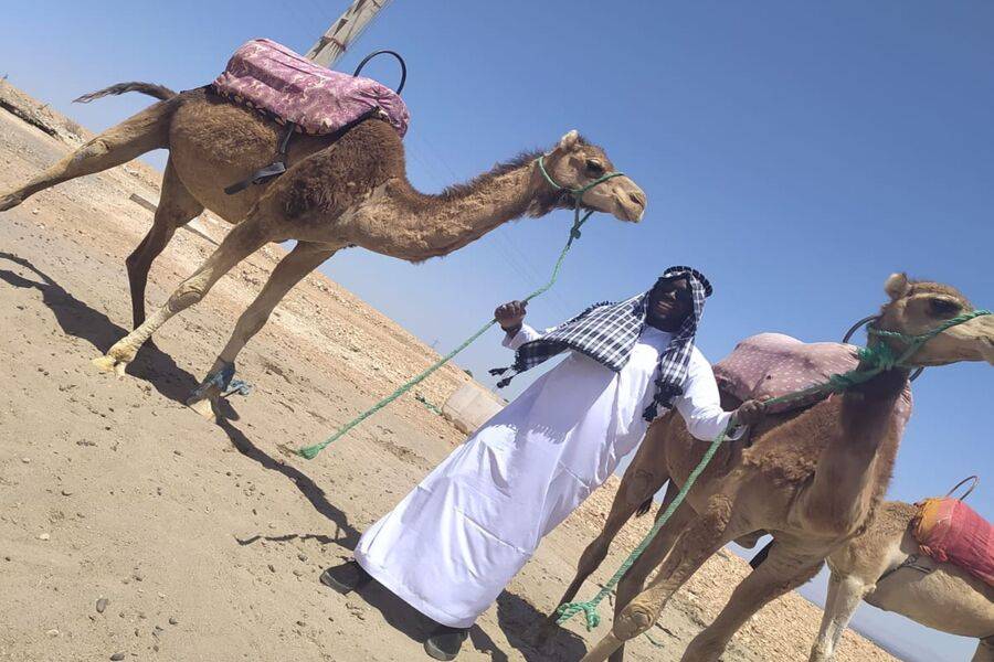 Quadriciclo, passeio de camelo e jantar no deserto rochoso de Agafay
