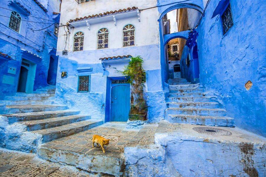 Grand Tour a Marrocos de Marrakech a Tânger por 7 dias