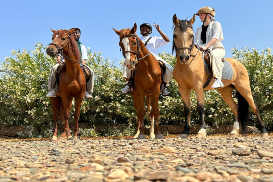 Passeio a cavalo em Marrakech Palmeraie