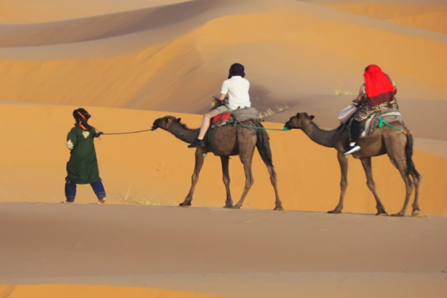 Grand Tour a Marrocos de Marrakech a Tânger por 7 dias