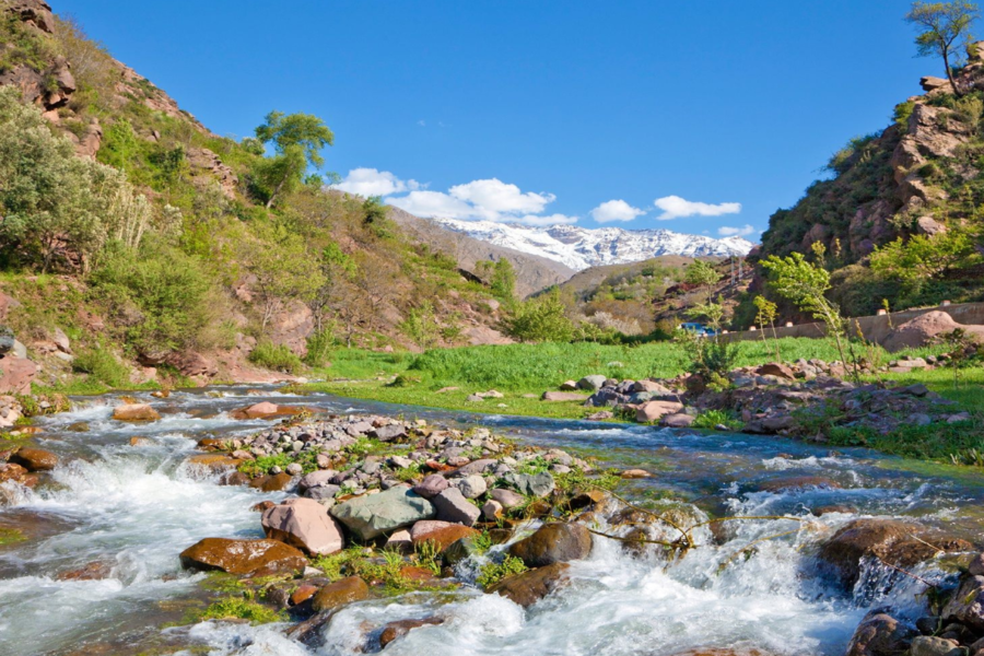 Viagem de um dia ao Vale Ourika e às Montanhas do Atlas