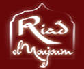 Riad EL Noujoum logo