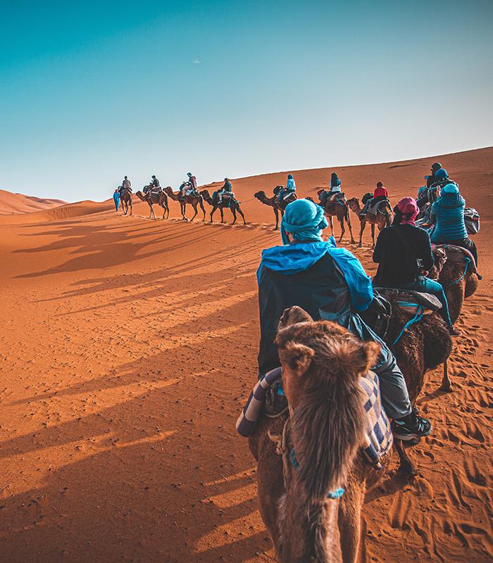 Marrakech Desert Tours & Trips From Marrakech